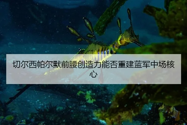qie-er-xi-pa-er-mo-qian-yao-chuang-zao-li-neng-fou-chong-jian-lan-jun-zhong-chang-he-xin-2-700.jpg