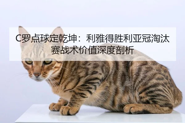 luo-dian-qiu-ding-qian-kun-li-ya-de-sheng-li-ya-guan-tao-tai-sai-zhan-shu-jia-zhi-shen-du-pou-xi-3-417.jpg