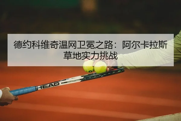de-yue-ke-wei-qi-wen-wang-wei-mian-zhi-lu-a-er-ka-la-si-cao-di-shi-li-tiao-zhan-2-529.jpg